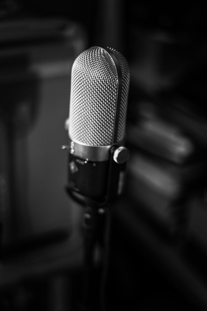 Black and white close-up of a vintage microphone in a music studio setting, artistic shot.